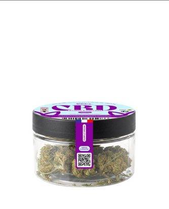 FLEURS CBD – PURPLE DREAM – 5G | BYCDS®